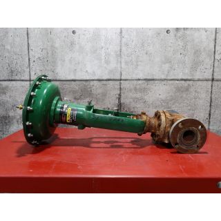 GLOBE VALVE - FISHER - 2"