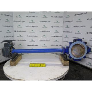 BUTTERFLY VALVE - AMRI - 10" - USED