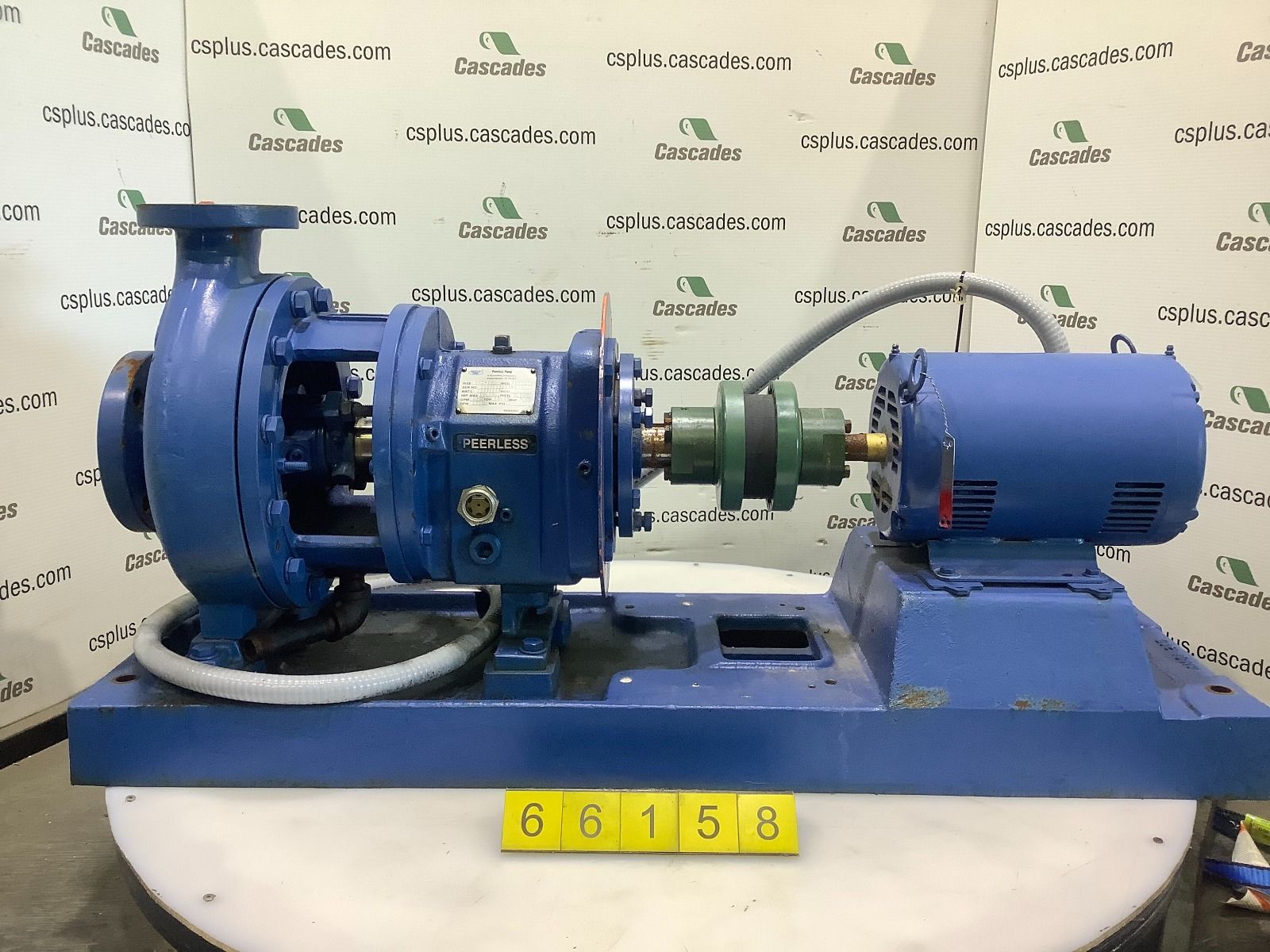 【Marples Wingfield & Wilkins】 ティーサービス 6点 Marples Wingfield & Wilkins】 ティーサービス 6点 Marples Wingfield